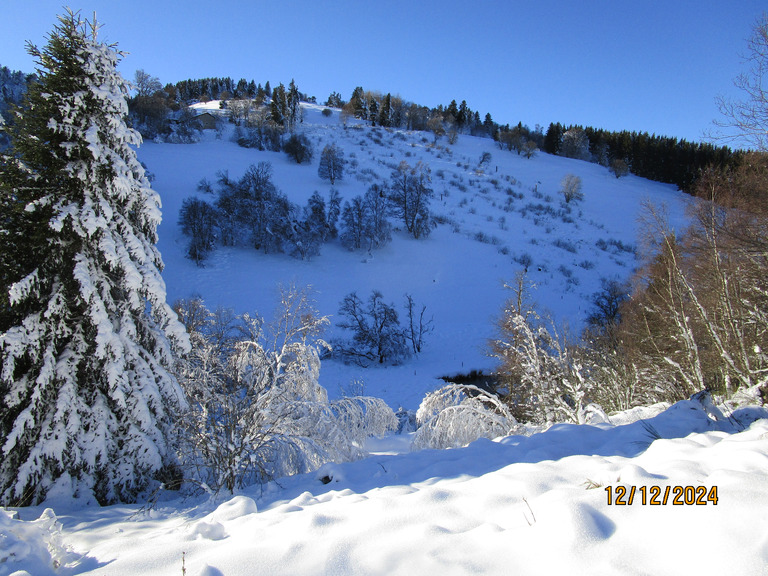 40cm sur secteur Haute-vallée/Prabouré 