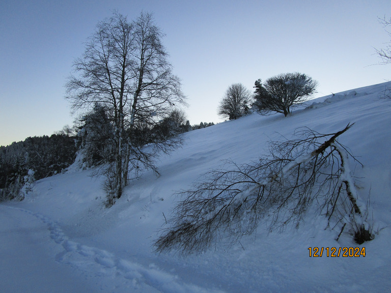 40cm sur secteur Haute-vallée/Prabouré 