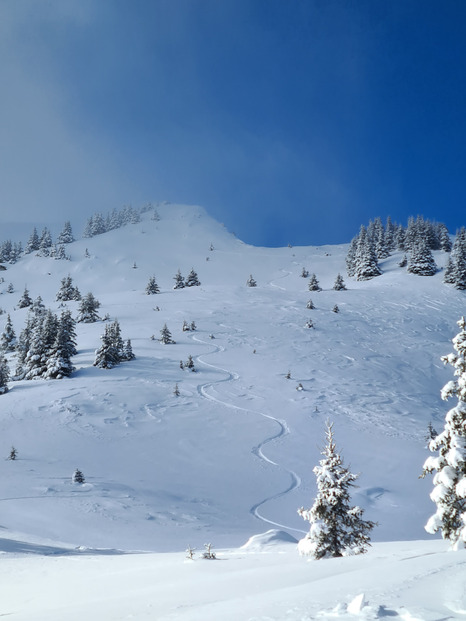 Bien chargé en haut, trop limite en bas