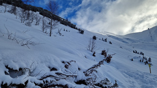 Nettement mieux que prévu 🤩