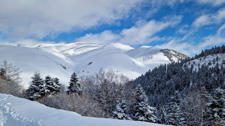 Nettement mieux que prévu 🤩