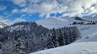 Nettement mieux que prévu 🤩