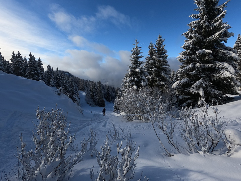 Gavage gaché par les nuages