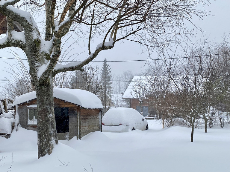 Chartreuse winter wonderland 💨❄️Merci Tempête Enol❄️💨