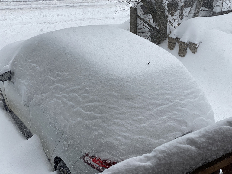 Chartreuse winter wonderland 💨❄️Merci Tempête Enol❄️💨