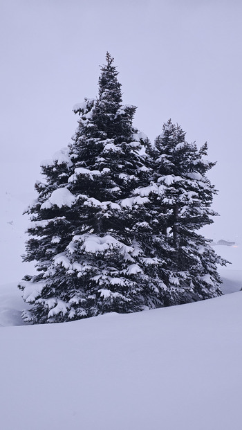 La neige est de retour