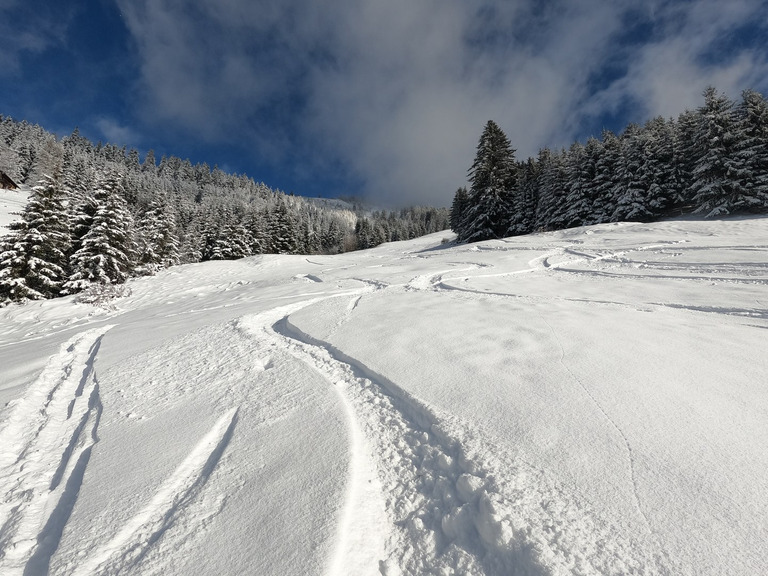 Du sucre sur tapis vert