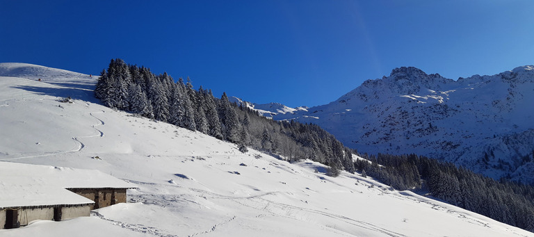 Très bien mais pas top !