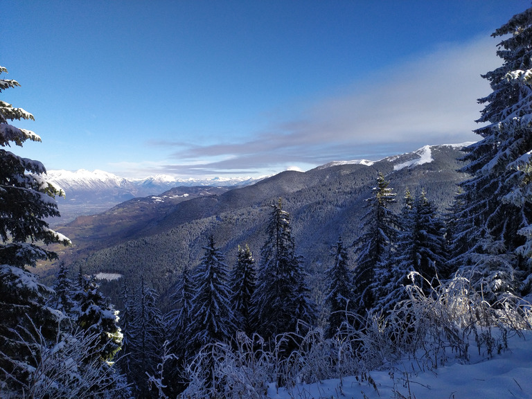 neige sur les sapins , on se met bien