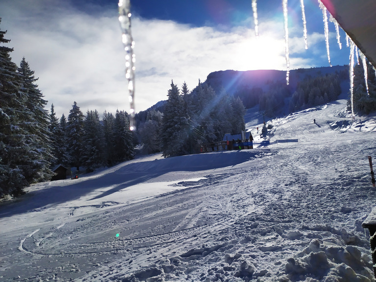 neige sur les sapins , on se met bien