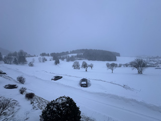 Blizzard et cong&egrave;res de No&euml;l 🎄