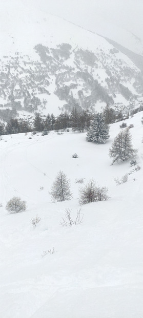 Noël avant l'heure 