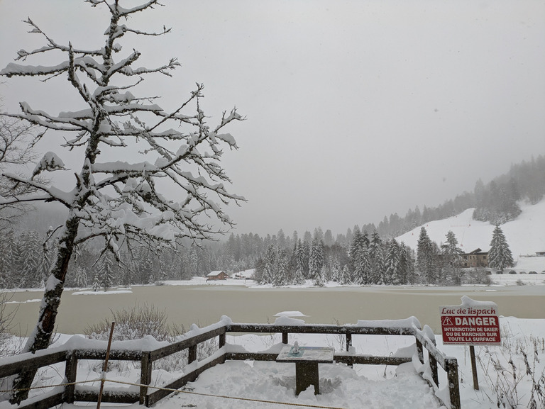 Vosges - lispach, les 40cm son atteints a 950m