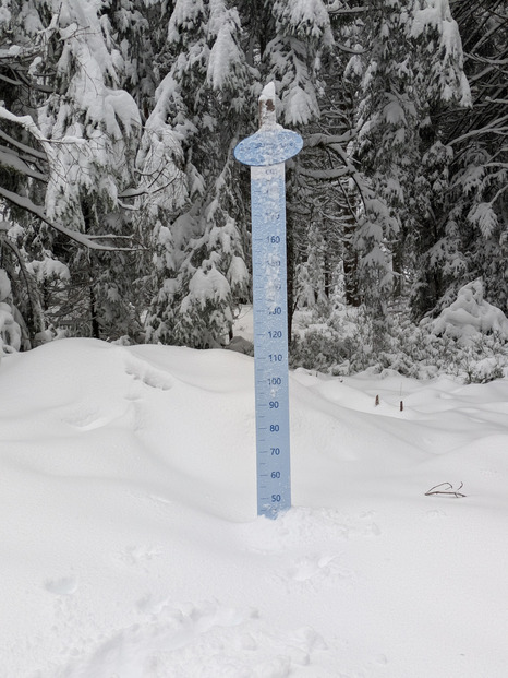 Vosges - lispach, les 40cm son atteints a 950m