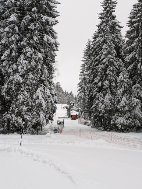 Vosges - lispach, les 40cm son atteints a 950m