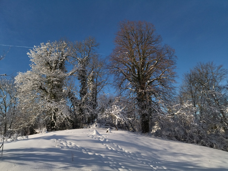 Le plateau sous la neige