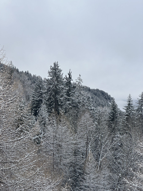 La neige s’est invité !