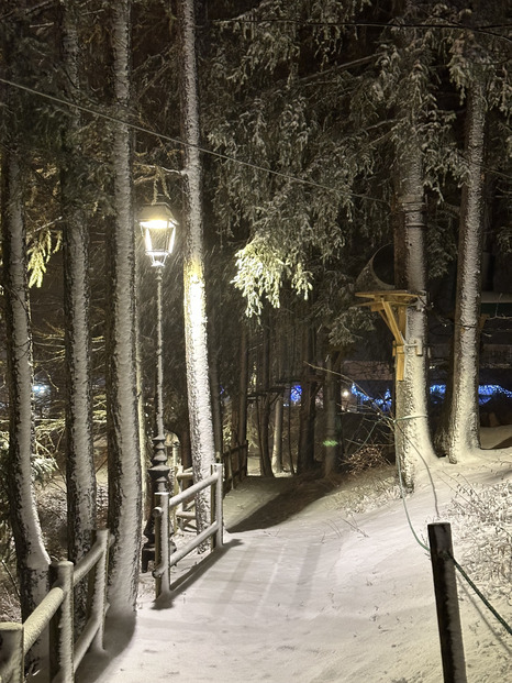 La neige s’est invité !