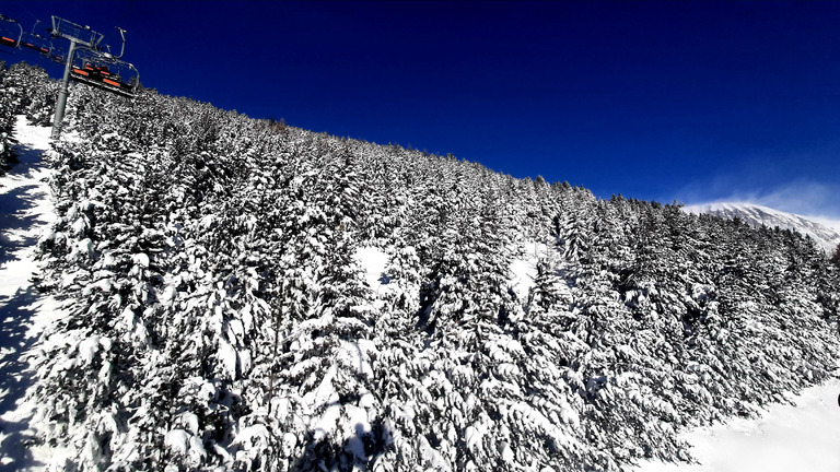 La Forêt de Villard et La Sûre, des pentes exquises 🌲❄