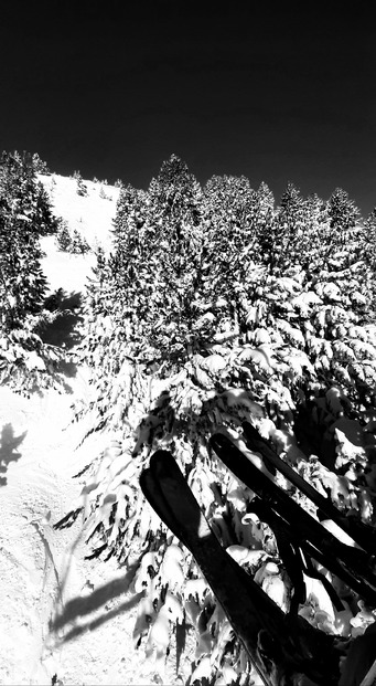 La Forêt de Villard et La Sûre, des pentes exquises 🌲❄