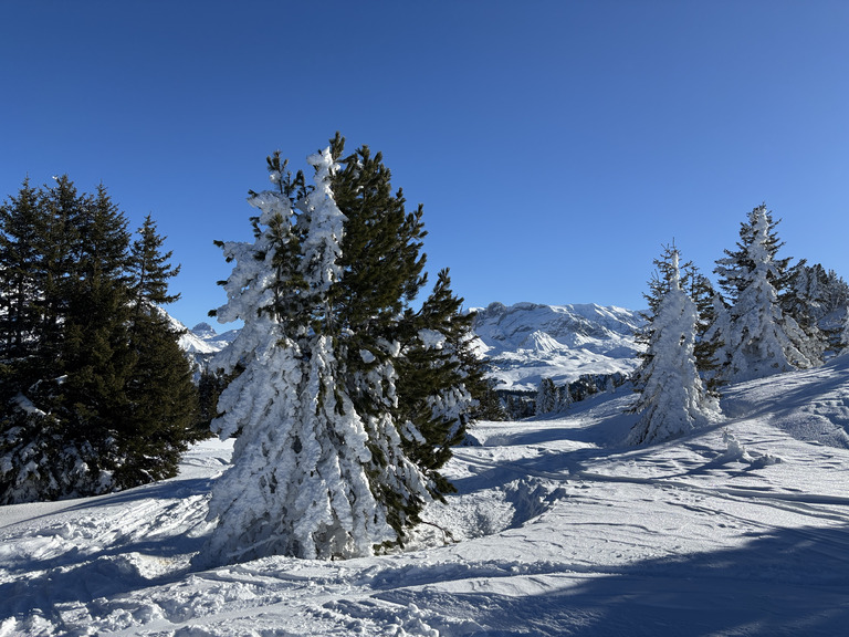 il y a de la neige mais attention sur le bas quand même 😜