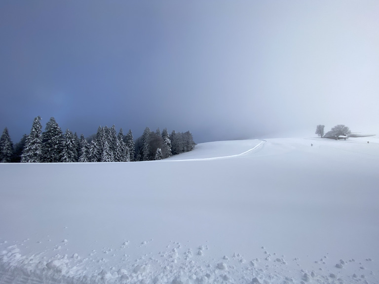 Skating au Sappey