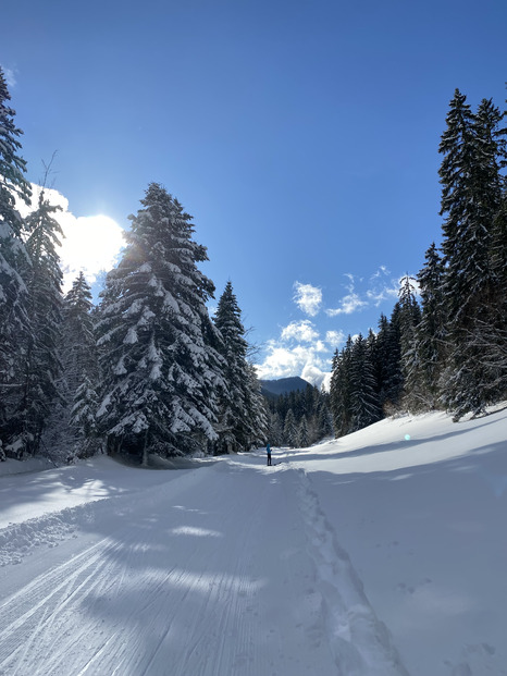 Skating au Sappey