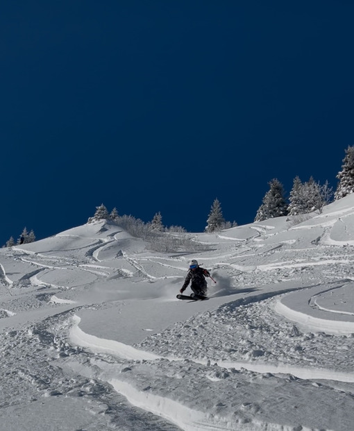 Merry Skimas !