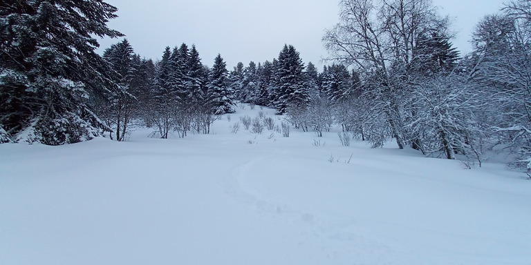 conditions massif du Forez