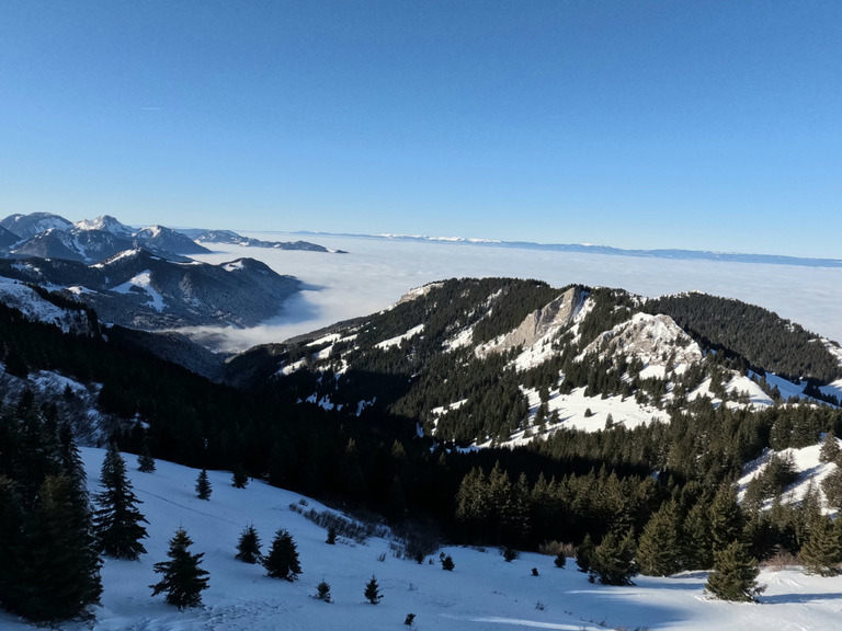 Matinée sur les balcons du Leman 