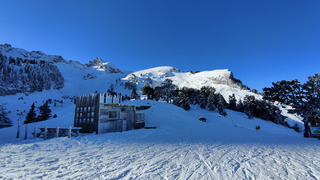 Un jardin d&eacute;j&agrave; bien labour&eacute; 😱