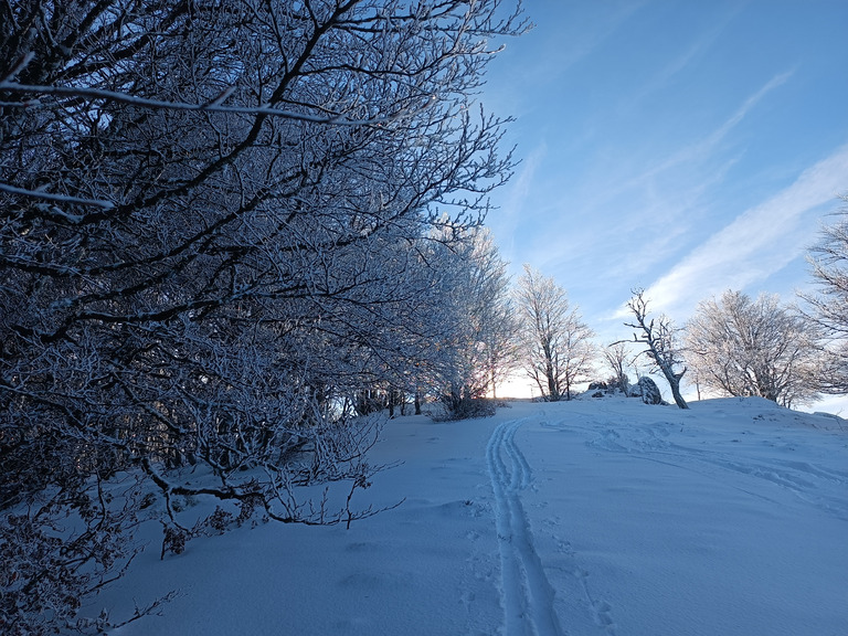 Découverte du Rossberg en ski de randonnée