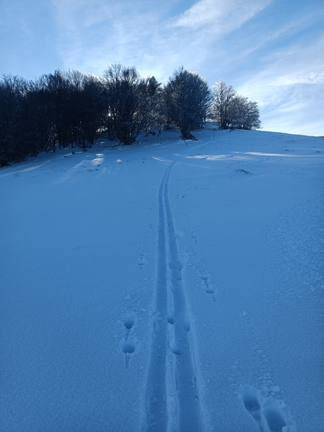 Découverte du Rossberg en ski de randonnée