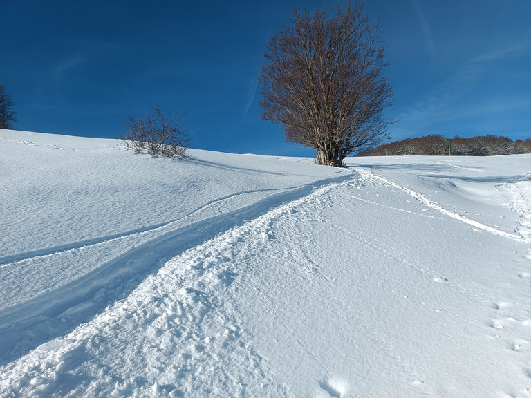 Découverte du Rossberg en ski de randonnée