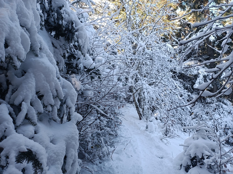 Découverte du Rossberg en ski de randonnée