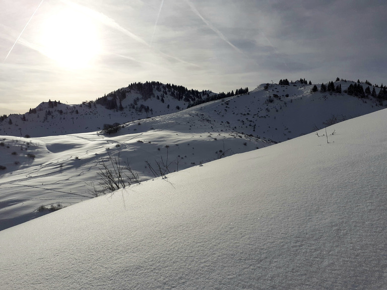 Profiter de la poudre avant le rincage 