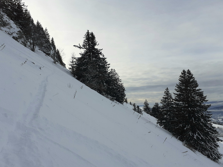 Profiter de la poudre avant le rincage 