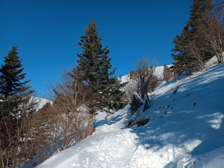 Entre glace et poudre 