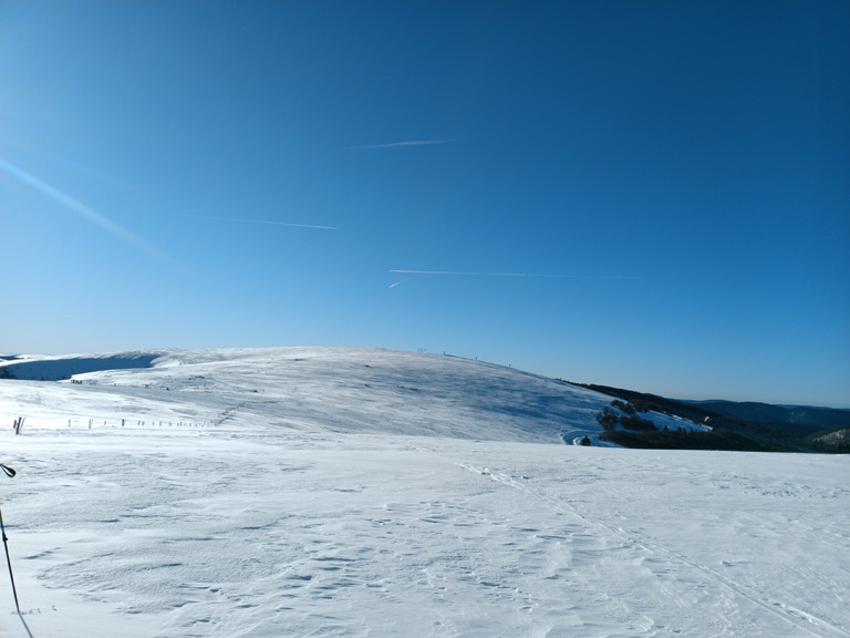 Entre glace et poudre 