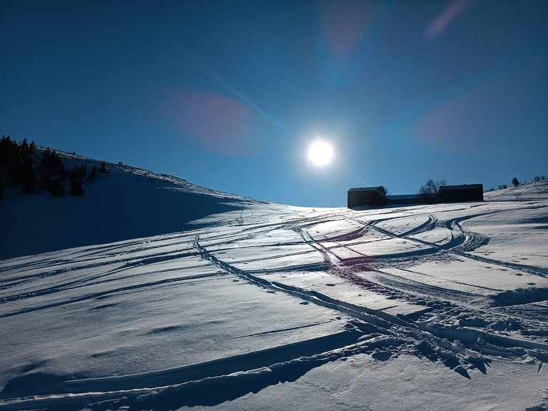 Entre glace et poudre 