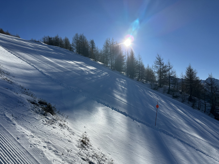 Retour au bercail