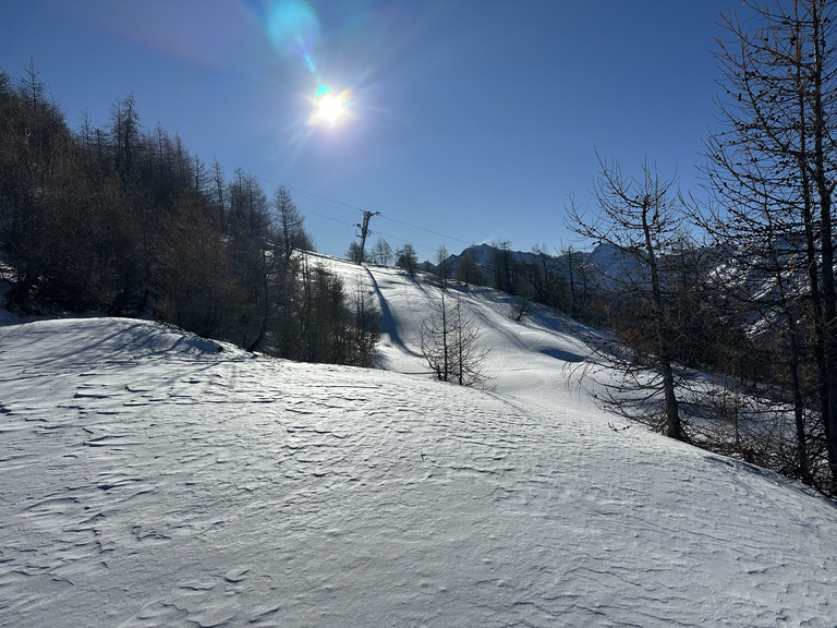 Retour au bercail