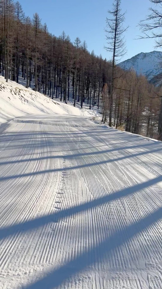 Retour au bercail