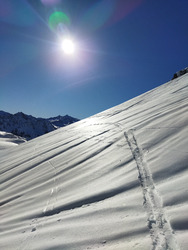 Toujours plein Sud 