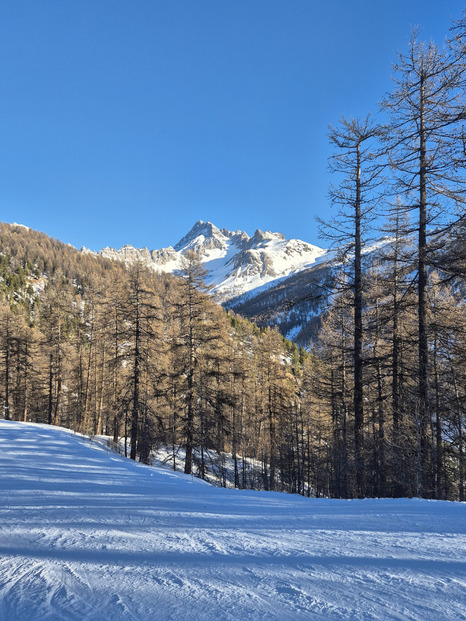 Du bon carving sur des pistes au top