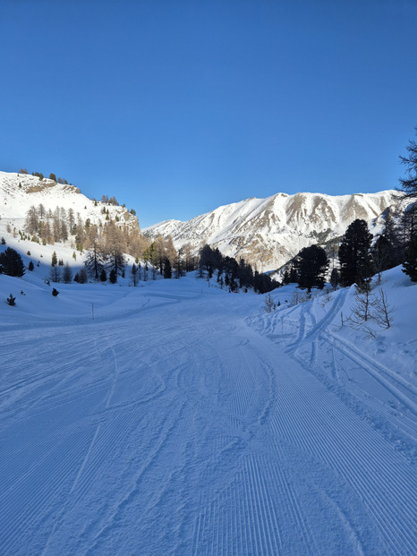 A l'ombre mais belle neige