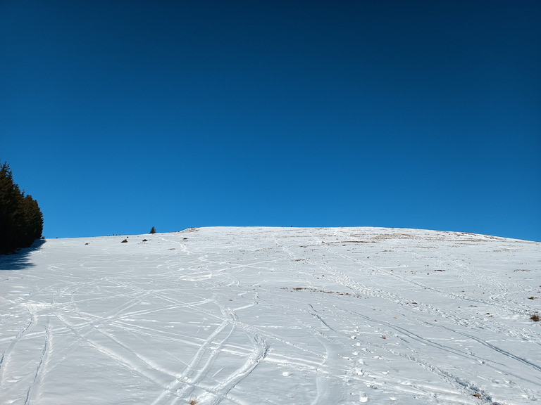 Petit ballon sous grand soleil