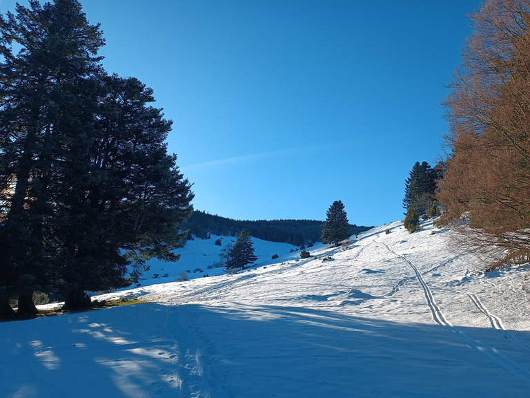 Petit ballon sous grand soleil