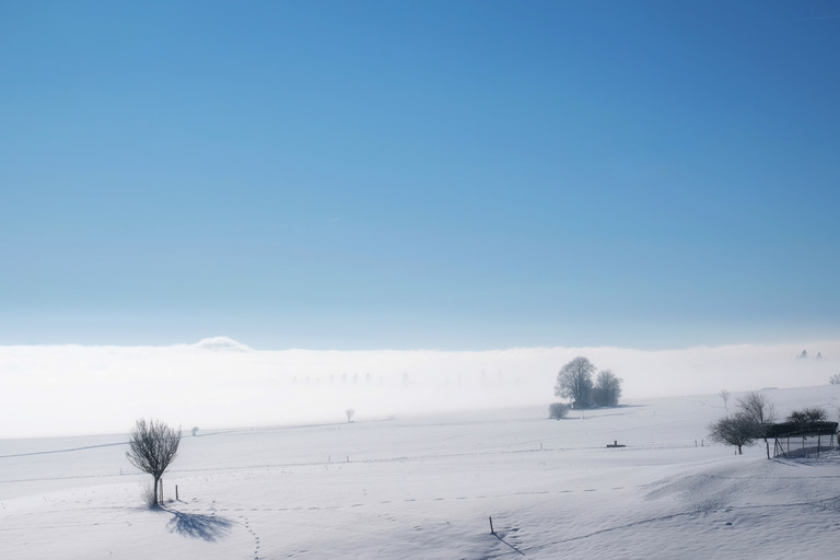 La vue des alpes