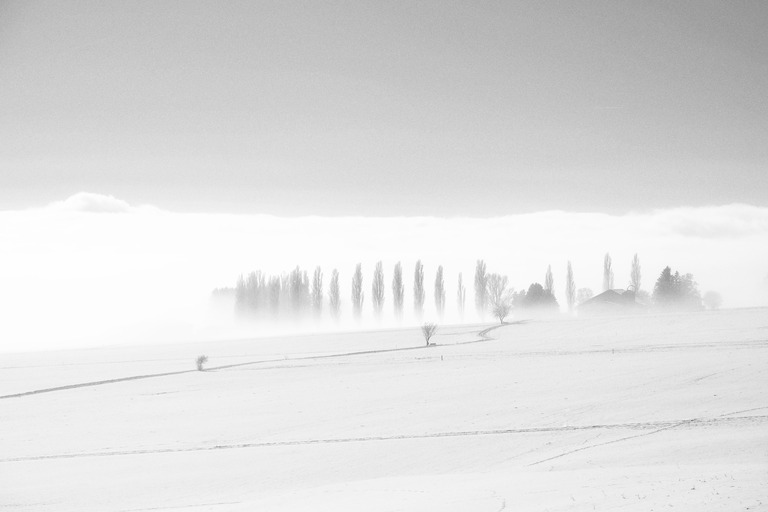 La vue des alpes